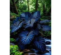 TEMU 110 Semillas de Tailandés Auténtico para Propagación en Interior, Plantas de Semilla para Jardín , Fáciles de y Regalo de Floración Todo el Año