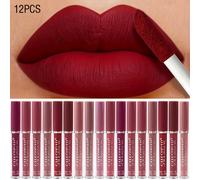 TEMU 12 Piezas Set de Labial Mate, No , Resistente y al Desvanecimiento. Maquillaje de Labios. Elección para Regalos. Labial Ideal para Principiantes