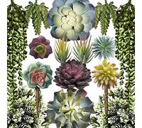 TEMU 15 Piezas/ Plantas Suculentas Artificiales para DIY, Cactus y Suculentas Falsas Realistas con Follaje de Plástico, / Decoración para Terrarios, Regalos, Sin Necesidad de