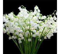 TEMU 178 piezas de Semillas de del , del Azul y Lágrimas de Virgen, Adecuadas para Jardines de Hierbas Perennes