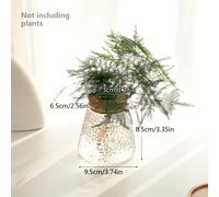 TEMU 1pc de Vidrio Botella para Plantas Hidropónicas con Tapón de Corcho para Decoración Interior y Exterior Decoración de Pequeño para Cultivo de Plantas