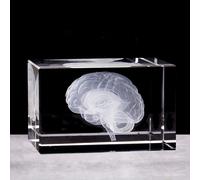 TEMU 1pc del en 3D de Cristal de Papel de de Ciencia para de Medicina y Regalo de Graduación para Médicos de Neurología