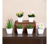 TEMU 1SET-6pcs Juego de macetas de plantas de simulación, adecuado para el hogar, decoración de mesa, decoración de escritorio de oficina, real, artificial de mini suculentas
