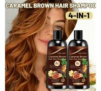 TEMU 2 Botellas, 100 ml Champú de Tinte Marrón Caramelo 4 en 1, Contiene Ginseng, Lingzhi, He Wu y de Jengibre, Coloración Instantánea, Cabello , Voluminoso y en , y No Dañino, Hidratante, el Frizz