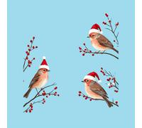 TEMU 3 Pájaros con Gorros de Santa, Pegatinas para Ventanas Temática Navideña, ¡ y Copós Decorativivos! Ideales Para Puertras o Vidrios en Sala u Dormitorio. Impresión Cara (12.99in*12.2)