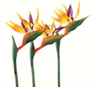 TEMU 3 piezas HAOSHICS Flores Artificiales Realistas de Ave - Plantas Artificiales de Strelitzia con Flores, Plantas de Plástico Falsas Ideales para Decoración , , de Mesa de Oficina - / Decoración