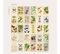 TEMU 30pcs/set Tarjetas postales de biología del Departamento Botánico, pegatinas de pared de decoración de habitaciones, tarjetas hermosas, 3.9 pulgadas * 5.9 pulgadas