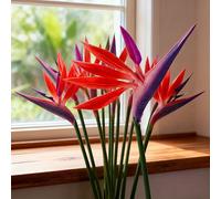 TEMU 4 Piezas de Flores Artificiales Realistas de Stanylzy Bird of Paradise - Plástico Adecuado para Decoración , - Plantas Falsas de (Sin )