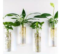 TEMU 4 Piezas de Macetero Vertical de Vidrio Autorriego en Pared - Cilindro Colgante para Exterior, Adecuado para Hogar, Oficina, - Macetas de Invernadero de Vidrio Autorriego Modernas