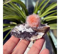 TEMU 50-100g Mineral de , , Cúmulo de cuarzo, Cúmulo de cristal, Especímenes minerales, Colección de cristales, Regalos de cristal