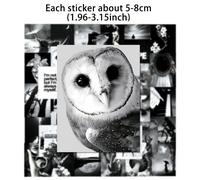 TEMU 50 stickers de graffiti estilo y negro para equipaje, cuadernos y patinetas, con diseños artísticos y