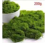 TEMU 500/200g de artificial de coníferas, decoración de plantas plásticas realistas, adecuado para manualidades DIY, decoración del hogar, jardines interiores y decoraciones de de Pascua.