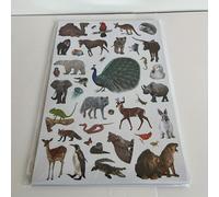 TEMU 750pcs Pegatinas de Animales , Pegatinas de Pequeñas con Temática de Animales , Pegatinas de Decoración , Calendario y Embalaje de 20pcs 9.8x6.6in