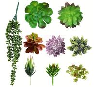 TEMU 9 Piezas de Plantas Suculentas Artificiales Realistas - Juego Fácil con Echeveria, , Aloe y Cactus (Plantas Plásticas) para Decoración del Hogar, Oficina, o - Arreglos DIY, Natural