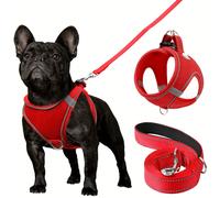 TEMU Arnés y Correa Joytale para Perros, Arnés con Malla Transpirable y Suaves de Nylon, Conjunto para Perros Pequeños y Medianos