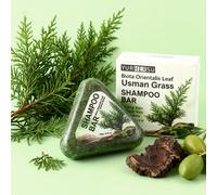 TEMU Barra de champú 6 en 1 Grass & Biota Leaf, una fórmula a base de plantas que el frizz y el del cabello, hidrata y , la grasa, es y no grasa, para todo tipo de cabello, como regalo de Navidad.