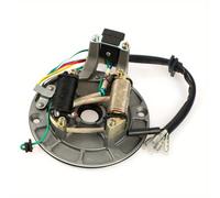 TEMU Bobina del de la motocicleta Placa del Recogida de de encendido del magneto Rotor para Pit Bike 70cc 90cc 110cc 125cc