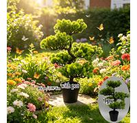 TEMU Bonsái de Macrophyllus de simulación grande, artificial en , no necesita cuidado - negra, resistente al sol y a la decoloración, adornos de de simulación versátiles para exteriores e interiores