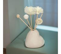 TEMU Botella de cerámica elegante y blanca de con 5 accesorios para difusor de caña, decoración del hogar, regalo, adorno.