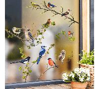 TEMU Calcomanía de Ventana y Aves para Vidrio, Adhesivo Decorativo para Oficina en Casa, Pegatina de Pared Removible de PVC Autoadhesiva, Cara