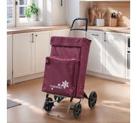 TEMU Carrito de Compra Plegable con 4 Ruedas Grandes y Bolsa Térmica Frontal，Estructura Metálica, | Capacidad 48L | Ideal para Supermercado, Playa y Picnic |