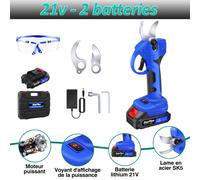 TEMU Cerdas eléctricas recargables de 21V para jardinería - Secador inalámbrico de litio para cortar árboles frutales y - Herramienta de tamaño profesional (Batería )
