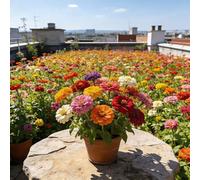 TEMU Colección Premium de Semillas de , Paquete de 59 Semillas de Flores para Jardines Vibrantes