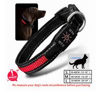 TEMU collar LED para perros es ajustable, recargable por tipo C, y se para y camping, ayudando a mantener a tu mascota a salvo y evitando que se pierda.