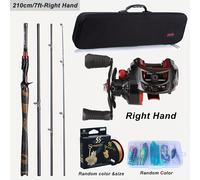 TEMU Combo de Sougayilang para Pesca con Bolsa, Juego de 4 Piezas de Cañas de Grafito y Baitcaster , Línea de Pesca, Cebos y Accesorios