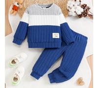 TEMU Conjunto Casual de 2 Piezas para Niños: Top de Manga Larga y Pantalones de Bloque de Color - de Poliéster Acogedora, para Otoño/Invierno, Ideal para Exteriores