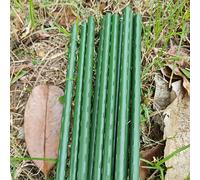 TEMU Conjunto de 10 Varillas de Soporte para Plantas Verdes - Pergolado Duradero para Flores, Uvas, Tomates y Pepinos con Diseño de Tubo de Acero para Jardín y Patio