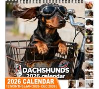 TEMU DACHSHUNDS 12 Calendario de pared mensual 2026, un calendario de pared ideal para el hogar o , como regalo de Navidad y Año , con estética y