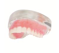 TEMU de Dientes para Enseñanza Oral de Dentaduras Superiores/Inferiores con 4 Implantes, de Dientes Removible para Comunicación Médico-