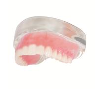 TEMU de enseñanza de dentaduras superiores/inferiores de mandíbula, 4 tornillos, de dientes de implante, de comunicación desmontable, únicamente para demostración!!! Solo , no para uso oral!!
