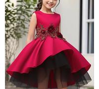 TEMU Elegante Vestido de Princesa Bordado de Malla para Niñas de 4-12 - para de Piano y de Niña de , la con Dobladillo de Paraguas