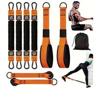 TEMU Equipo de Gimnasio en Casa, Bandas de Resistencia para Ejercicios: Remo , Curl con Cuerda, Tríceps, Espalda, Brazos y Hombros, Set de Bandas con e Anclaje para Puerta