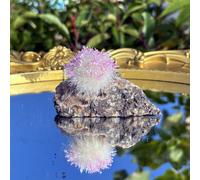 TEMU Espécimen de Eritrita de , de Cristal, de Cuarzo, Punto de Cuarzo, Decoración para el Hogar, Especímenes Minerales, Colección de Cristales, Regalos de Cristales