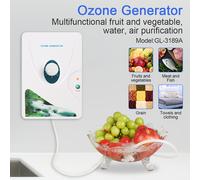 TEMU Generador de Ozono de Resistencia 600mg/h O3 para Purificador de Aire y Agua en el Hogar, Esterilizador de Frutas/Verduras, Blanqueador de Ropa - Equipo de Ozono Multiusos con Enchufe EU (220V)