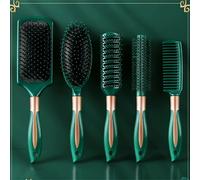 TEMU Juego de 5 Peines para Peluquería, Peine con Cojín de Aire, Cepillo Rizador , Peine Desenredante, Peine Antiestático