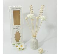 TEMU Juego de Accesorios para Difusor DIY en Ratán y Botella Cerámica Evaporativa, Regalo Ideal para Oficina o Fiestas