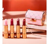 TEMU Juego de Lápices Labiales de Mini Bolso - 4 Piezas, Acabado Mate Aterciopelado, Sin Transferencia, Duradero para Regalo Diario, Día de San Valentín, Día de la