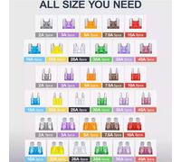 TEMU Kit de 180 piezas para fusibles del coche, 60 mini fusibles en hoja + 60 fusibles estándar automotrices + 60 microfusibles con extractor