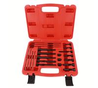 TEMU Kit de Extracción de Boquillas de Encendido - 22 Piezas, Juego de Reemplazo para Boquillas de Encendido Automotriz, Kit de Extracción de Boquillas M8 y M10 con de Herramientas Portátil