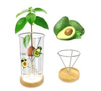 TEMU Kit de para Semillas de - de Vidrio Transparente y Metal con Base y Pegatina, para el Crecimiento de Árboles de en Interiores, Regalo Ideal para al Jardinería