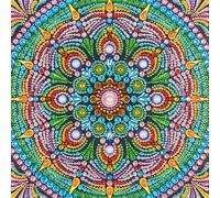 TEMU Kit de pintura de diamantes para adultos con formas únicas, set de perforación parcial de mandalas 5D para principiantes, artesanía de gemas con diamantes de 30X30Cm