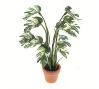 TEMU Miniatura de Casa de Muñecas: Hoja de Ginkgo Blanca y , de Jardín en Miniatura, Adorno de para Micro Paisaje, Decoración de de Bolsillo, Regalo Coleccionable para y Entusiastas