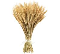 TEMU Paquete de 100 Flores Secas Decorativas de Natural, Ramo de Granos de de 40 cm para Arreglos Florales de Boda en Casa