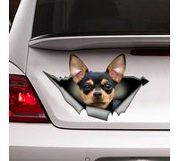 TEMU Pegatina de Vinilo de Chihuahua Negro y , Calcomanía de Metal Desgarrada, Pegatinas Impermeables para Coche