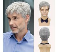 TEMU Pelucas Cortas y Capas para Hombre en Plateado - Cabello Sintético Resistente al para Uso Diario, Fiestas y Halloween