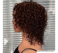 TEMU Peluquesas cortas de ondas de agua con corte en marrón chocolate, con color marrón #4, rizadas, pelucas de cabello hechas a máquina, sin pegamento, diseñadas para mujeres.
